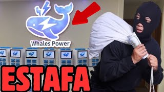 Whalespower Nueva Estafa Piramidal ¿Qué es Y cómo funciona? ✅Review Completa