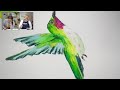 LIVE Watercolor : Hummingbird