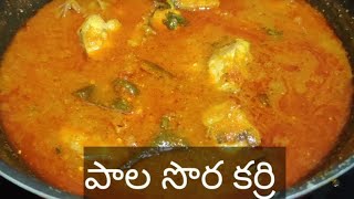 పాల సొర (fish) కర్రి 😋 #fishcurry #fishlovers#pleasesubscribe