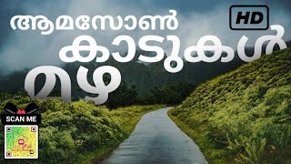 Amazone rain forest| ആമസോൺ മഴ കാട് |FULL HD1080P | അപകടം പതിയിരിക്കുന്ന ആമസോൺ മഴ കാടുകൾ| RARE VIDEOS