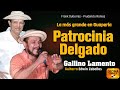 Prudencio Ramos vs Frank Gutiérrez N° 987  ( PATROCINIA DELGADO )