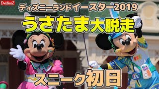 ※2倍速用 ディズニランド イースター2019 うさたま大脱走！ スニーク初回 (キャンセルグリーティング)