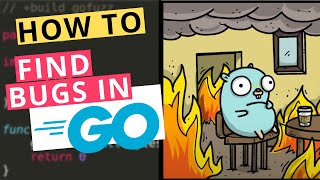 Finding BUGS in Golang Library using Fuzz testing (go-fuzz & libFuzzer) - Go Security