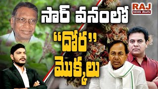 సారు వనంలో దొర మొక్కలు | Special Debate on CM KCR \u0026 KTR Arts at Jaya Shankar Smriti Vanam | Raj News