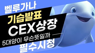 벨루가나[belugana] CEX 상장 기습발표 ! 제가 알려드릴게요