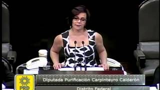 Dip. Purificación Carpinteyro (PRD) - Ley Federal de Competencia Económica (Reservas)