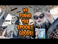 HUGE HALLOWEEN DECOR HUNT!!! Walmart, Michael's, Joann's, HomeGoods...