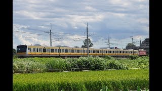 配9128レ EF81 134+E233系ナハ35編成 KY出場 東大宮〜蓮田にて