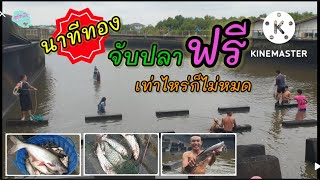 หมายฟรี นาทีทอง จับปลา จับกุ้งแม่น้ำ เท่าไหร่ก็ไม่หมด คลองส่งน้ำสุวรรณภูมิ ฝั่งทะเล l สุดปัง #117