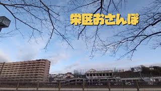 317  栄区おさんぽ　石 #10-1