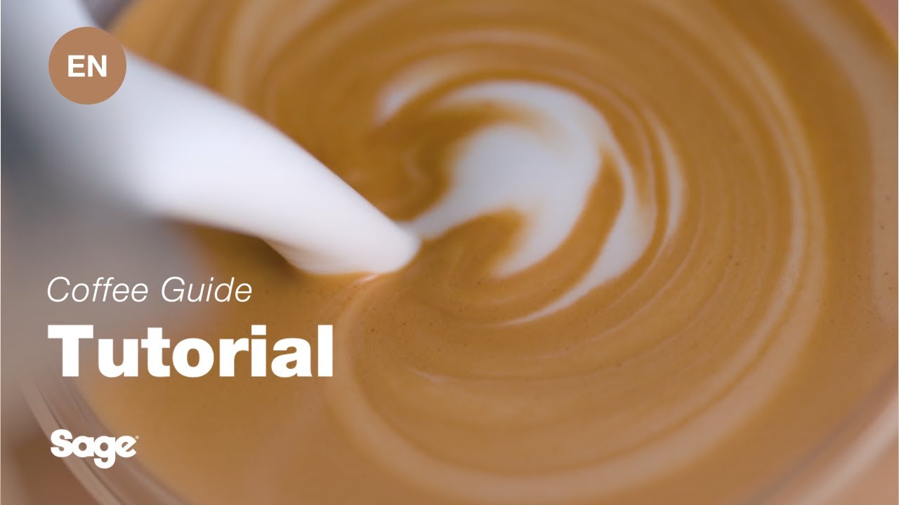 Tutorials How To Create Latte Art The Dual Boiler邃 Sage