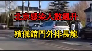 北京感染人數持續飆升，醫院、藥店都排著長隊。恐慌的市民瘋搶檸檬，連榨菜都搶光了。感冒藥都搶光了，有藥店買退燒藥，一人一片。殯儀館都排幾天的隊才能火化 。快遞員大批陽性，馬路邊堆滿的無法遞送的包裹。