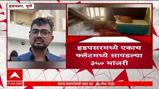Pune 350 Cats in Flat : एकाच घरात पाळल्या 350 मांजरी, इमारतीतील रहिवाशी वैतागले ABP MAJHA