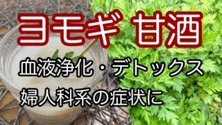 【ヨモギ甘酒の作り方】血液浄化・デトックス・婦人科系の症状に　How to make mugwort amazake