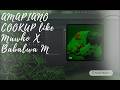 AMAPIANO COOKUP: For MAWHOO X BABALWA M | AMAPIANO TUTORIAL