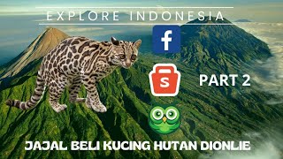 Jajal Beli Kucing Hutan Dionline || Part 2