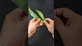 How to make Mango Leaf Bags for Kids Play | Make amazing mango leaf Bags