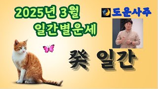 2025년 을사년 3월己卯月 癸수 일간 운세 #25년운세 #3월운세 #기묘월운세