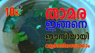 LOCUS TUB | LOTUS TANK SETTING MALAYALAM | TIME PASS MADS