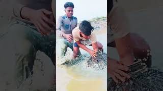 #দেখুন #কি #বড় #মাছ #ধরে #viralvideo #shortvideo