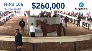 Before They Were Stars: FRAMMENTO at the 2014 F-T Florida 2YO Sale!