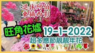 NO.69 旺角花墟 花市 2022-1-19 超多應節靚靚年花 🌺🌻💐🥀🌷🌾🪴🎍☘️🌹