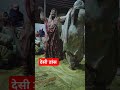 देसी डांस देहाती डांस हरयाणवी शॉर्ट्स_वीडियो