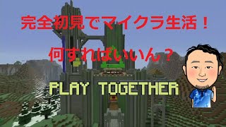 エリトラ捜索【Minecraft】【マインクラフト】