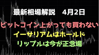 ビットコイン飛び乗りはしない｜イーサリアム下げてもホールド｜リップルの分岐点｜ビットコイン、イーサリアム、リップルの値動きを解説