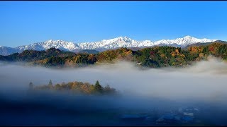 紅葉の小川村から雪化粧した北アルプスを眺める・4K