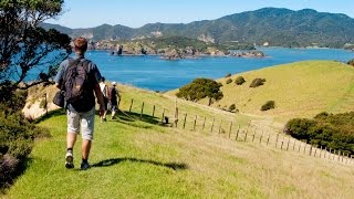 Must Do New Zealand - The Bay of Islands