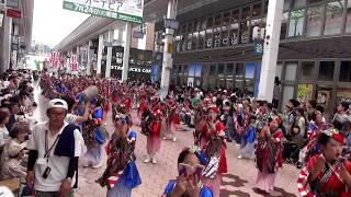 DDよさこいチーム～2018高知よさこい祭り本祭（帯屋町筋会場）