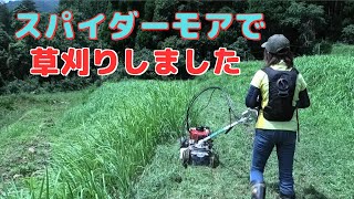 スパイダーモアで平地と少しだけ法面草刈りしてみました