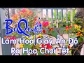 Bí Quyết Xử Lý Hoa Giấy Ấn Độ Ra Hoa