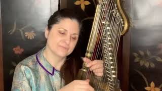 Nonsuch in the Style of France on an Edward Light regency Dital Harp harp lute