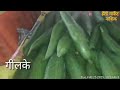 25 फेब्रुवारी 2025 दुपारचे बाजार भाव नाशिक मार्केट vegetables market nashik bajar bhav today