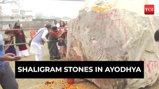 Ayodhya Ram temple idols: What's so special about these Shaligram stones?