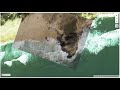 Display a video on an interactive map with MapLibre and Leafmap