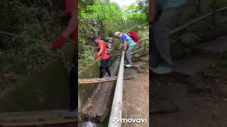 恆康行山隊23/5/2023~淺水碼頭右坑/筲箕灣坑 Healthy Hiker~Streams Trekking at the Northern Face of Parker Mount HK