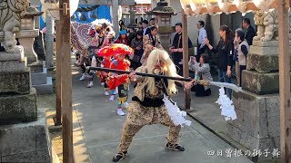 新湊 桜町の獅子舞 / 四日曽根の獅子舞 獅子舞奉納 2019年