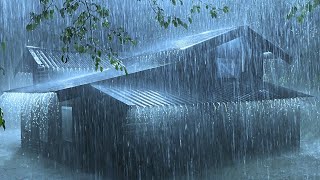 Emotional Healing and Stop Anxiety to Sleep Instantly with Heavy Rain & Thunder on Tin Roof at Night
