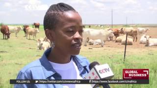 South African youth take up farming in numbers