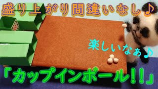 【介護レクリエーション】盛り上がるの間違いなし！「カップインボール！！」楽しくて簡単です！