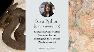 Overview: Savu Python Conservaton Capstone Project
