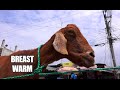 Street Drink - Street Food in Ecuador