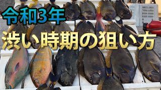 【沖縄釣り】那覇一文字新堤で渋い時期のフカセ釣りの狙い方実釣解説！！『前編』