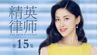 【ENG SUB】精英律師 15 | The Best Partner 15（靳東、藍盈瑩、孫淳等主演）