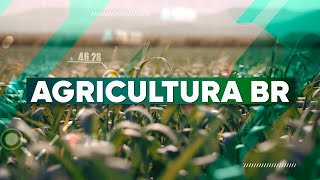 Agricultura BR 3ª Edição | 07/02/2025