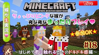 #18 嫁がまったり生実況【Minecraft/マインクラフト】～はじめて君に触れるときのドキドキ感編～【超初心者/初見さんも歓迎】