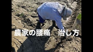 #32 農家の腰痛の治し方